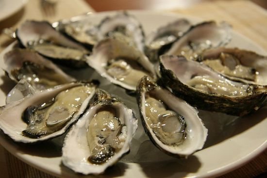 oysters are a natural aphrodisiac